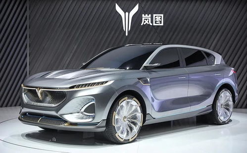 嵐圖汽車首秀國際車展 以“蔚派”姿態(tài)，交出怎樣的成績單？